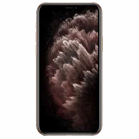 iPhone 11 Pro Max 256 Go Gris