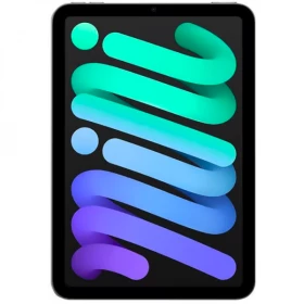 iPad Mini (2021) 6e Génération 64 Go Gris Sidéral - Wifi