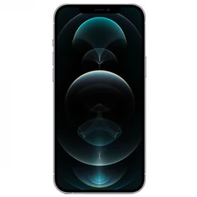 iPhone 12 Pro Max Argento