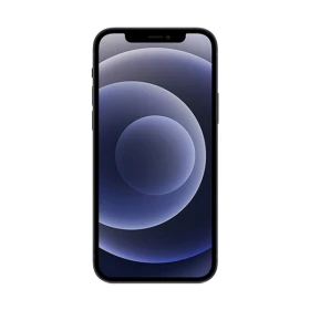 iPhone 12 256 Go Noir