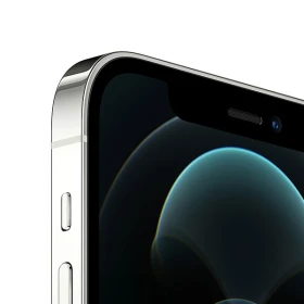 iPhone 12 Pro Max 256 Go Argent