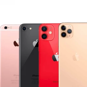 Durs à cuire (-30%)